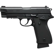 Gun sticker