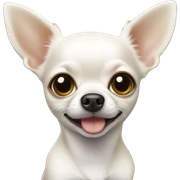Small white chihuahua  sticker