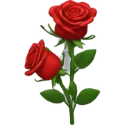 Red roses  sticker