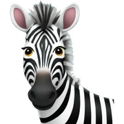 zebra sticker