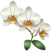 white orchids sticker