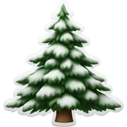  actual white fir christmas tree isolated.  sticker