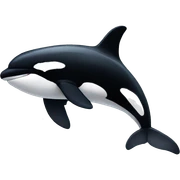 Orca  sticker
