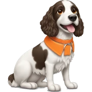 Small Munsterlander dog with orange collar  sticker