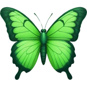 green butterfly  sticker