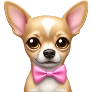 chihuahua wearing a pink bow sticker
