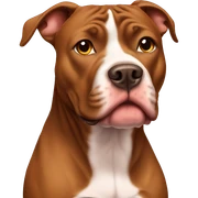 Brown Pitbull sitting sticker