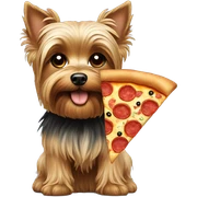 Yorkie with pizza sticker