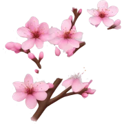 cherry blossom sticker