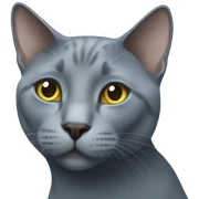 russian blue cat  sticker