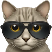 Cat with sunglasses sticker