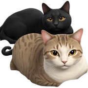 cat gazing at viewer sticker