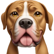 Pitbull sticker