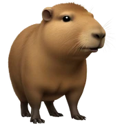 Capibara  sticker