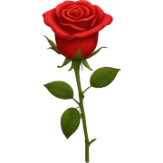 red rose sticker