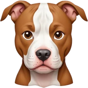 pitbul sticker