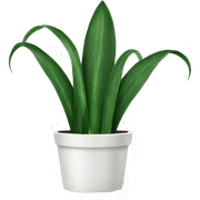Snake Plant  sticker