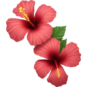 Hibiscus Flower sticker