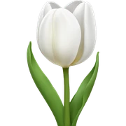 white tulip sticker