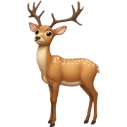 Deer sticker