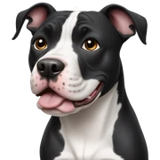 Black and white pitbull dog sticker