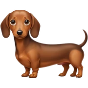 Daschound sticker
