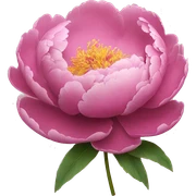Peony sticker