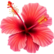 Red hibiscus flower sticker