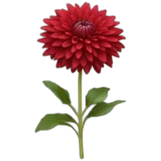 red dahlia sticker
