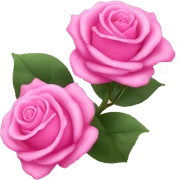 Pink roses sticker