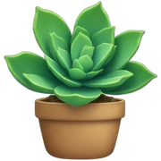 succulent plant sticker
