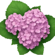 hydrangea sticker