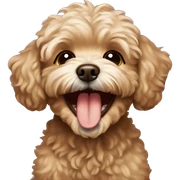 brown maltipoo laughing sticker