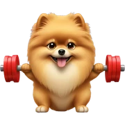 Pomeranian lifting weights sticker