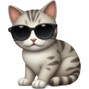 Cat with sunglasses sticker