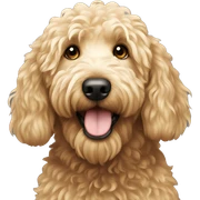 Golden doodle  sticker