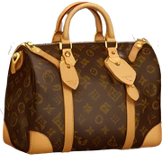 Louis Vuitton sticker