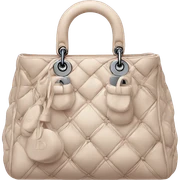 Dior bag sticker
