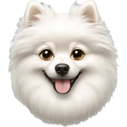 White Pomeranian sticker