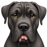 Cane corso sticker