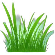 grass sticker