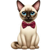 Siamese cat with Burgundy bow tie sticker
