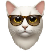 Cat with sunglasses sticker