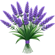 big bouquet Lavender, stem, leaf sticker