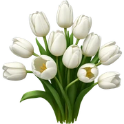 White tulips sticker