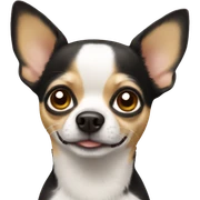 Chihuahua  sticker