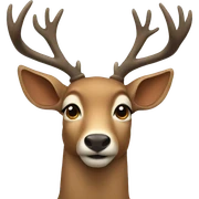Deer sticker