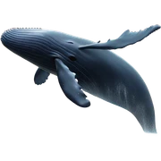 whale sticker