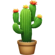 rainbow cactus sticker