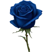 real dark blue rose sticker